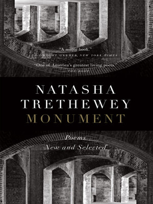 cover image of Monument